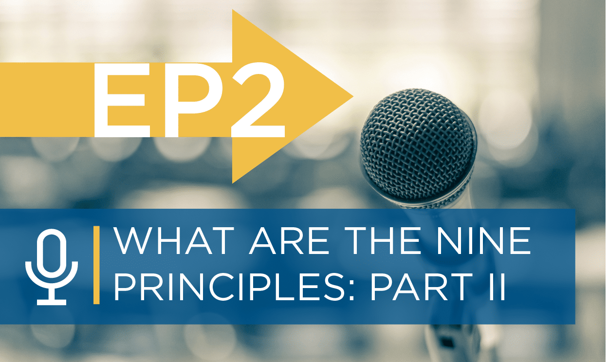 This episode is part two of a three-part series. It introduces and gives a brief overview of Principles 4-6 of the Nine Principles®. Principles 4-6 are: 4) Create and Develop Leaders, 5) Focus on Employee Engagement, 6) Build Individual Accountability.